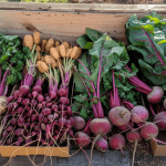 Don't just shop farmers markets in the summer Don't just shop farmers markets in the summer