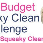 Daily Household List - Squeaky Clean Challenge Day One Daily Household List - Squeaky Clean Challenge Day One