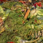 Minimizing Food Waste: Smart Strategies for Every Kitchen Minimizing Food Waste: Smart Strategies for Every Kitchen