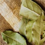 How to store bay leaves to keep them fresh