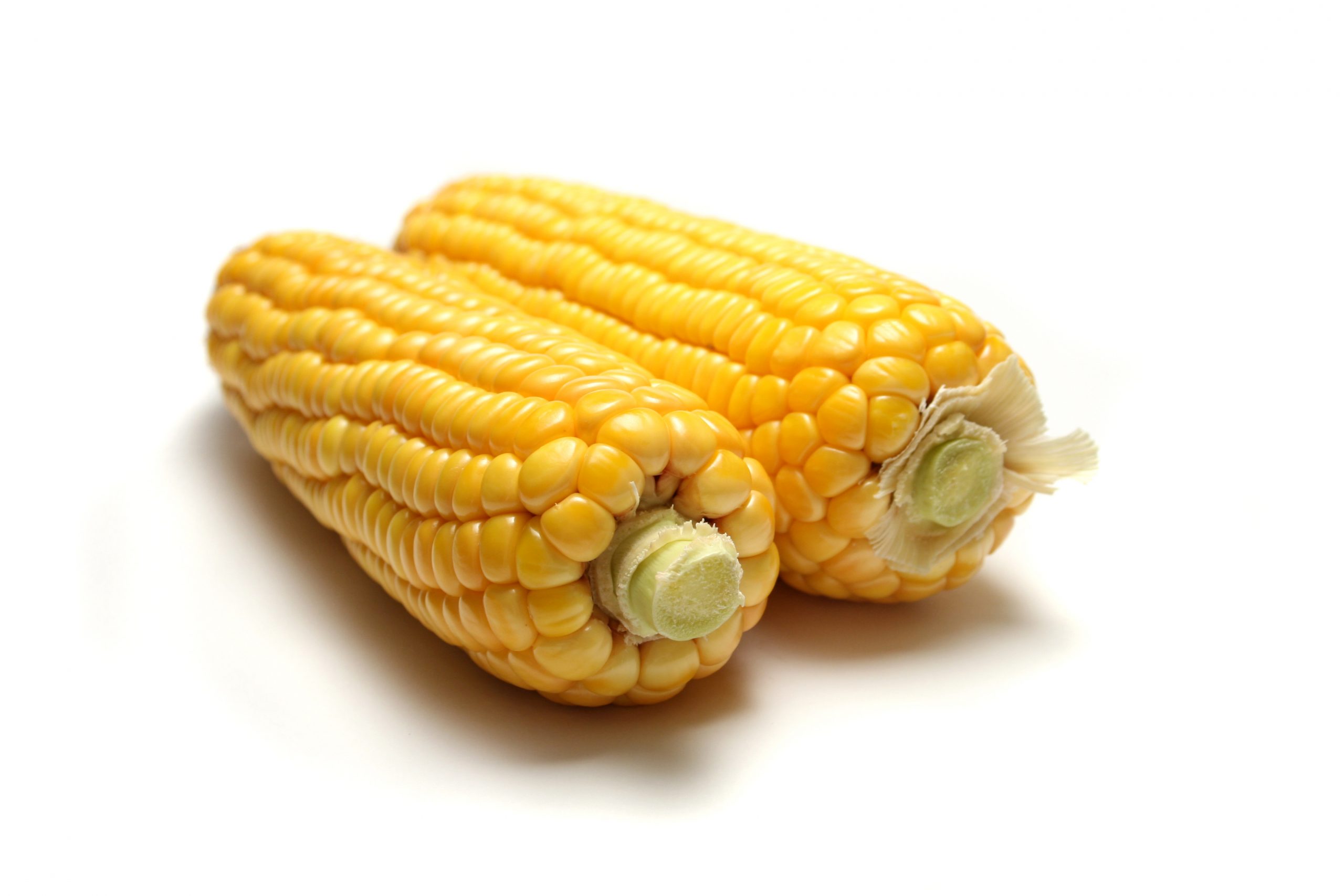 A No-Blanch Freeze Guide to Corn on the Cob