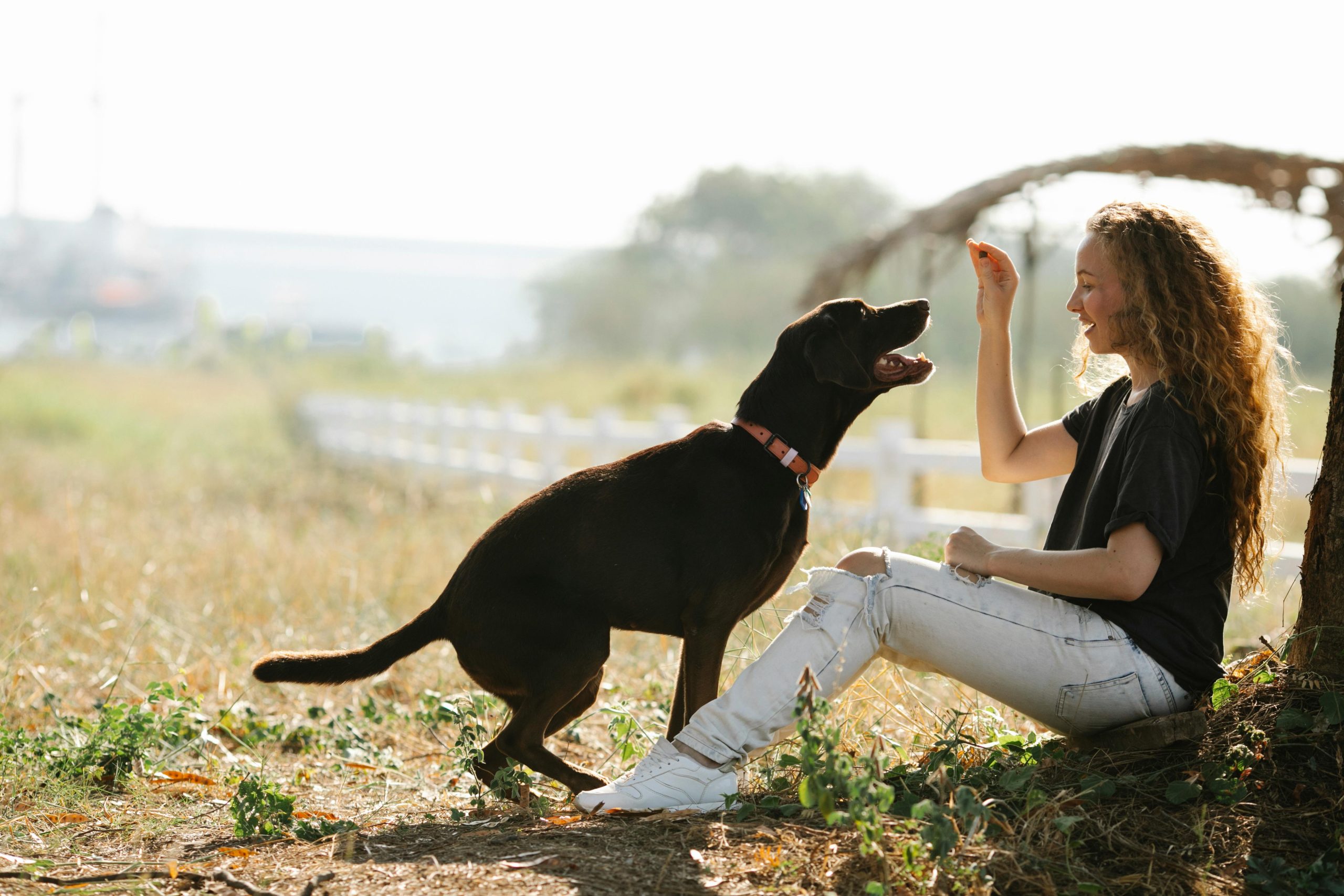 Pawsitively Delicious: Wheat-Free Salmon Treats for Your Furry Friend!