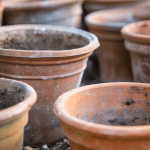 Sparkling Garden Pots: A Fresh Start for the Season Sparkling Garden Pots: A Fresh Start for the Season