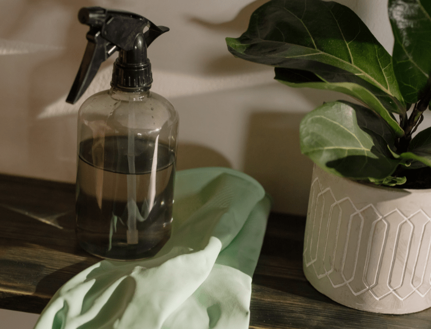 Pine Oil Disinfectant