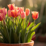 The Joy of Planting Bulbs in Garden Containers The Joy of Planting Bulbs in Garden Containers