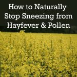 Combatting Pollen and Hay Fever Naturally: The Green Tea Solution! Combatting Pollen and Hay Fever Naturally: The Green Tea Solution!