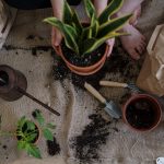 What size drainage holes should container pots have? What size drainage holes should container pots have?