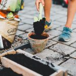 Making your own container potting soil mix