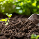 The Joy of Using Sterilized Potting Soil: A Garden's Best Friend
