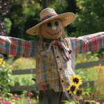 Inexpensive way to scare birds from your garden