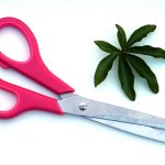 Snip and Sharp: DIY Scissor Sharpening Solutions Snip and Sharp: DIY Scissor Sharpening Solutions