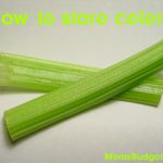 Crisp and Fresh: The Ultimate Guide to Storing Celery