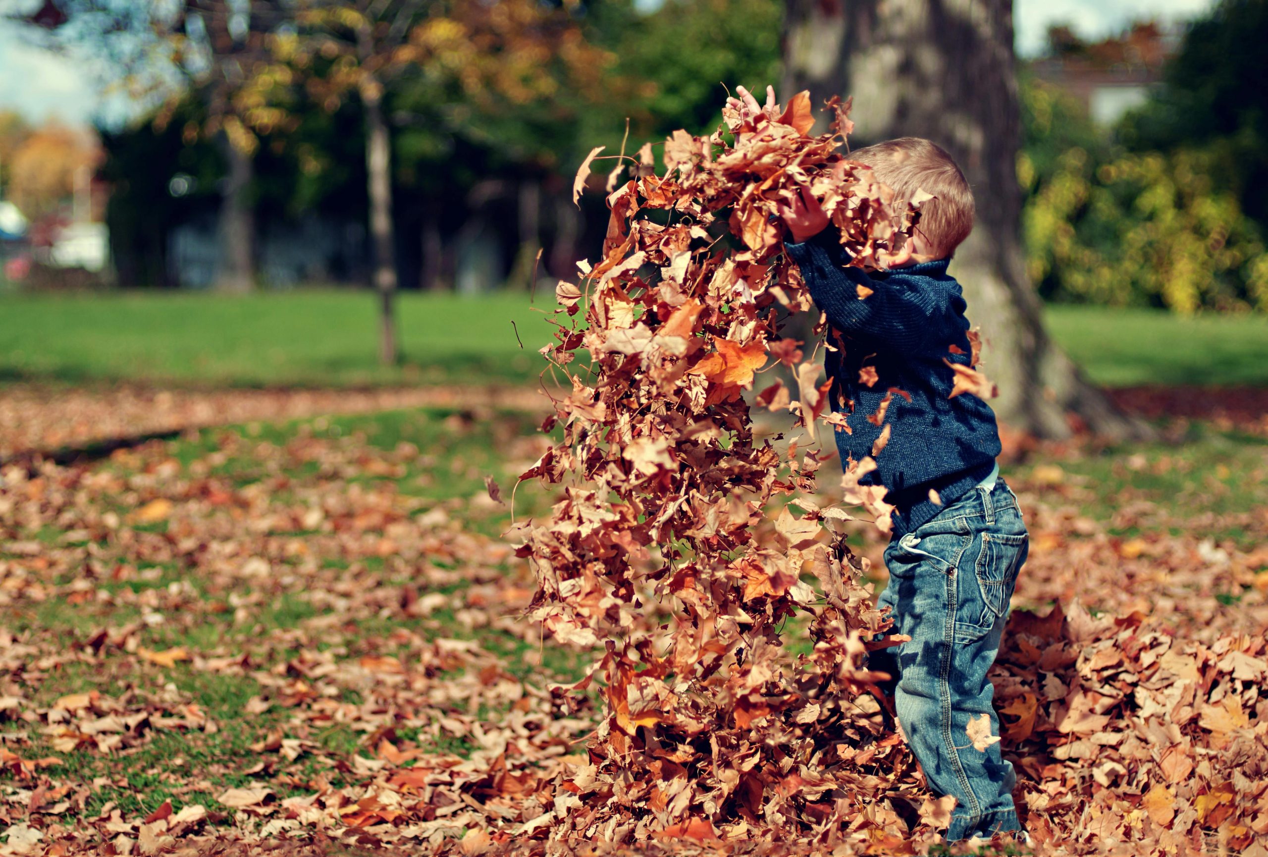 Thanksgiving Leaf Rubbing Name Cards: A Fun Family Craft!