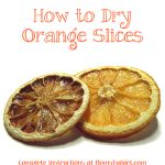 How to dry orange slices