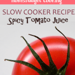 Spicy Tomato Juice Crock Pot Recipe