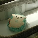 Exploring the World of Bassinets: A Cozy Nest for Your Little One! Exploring the World of Bassinets: A Cozy Nest for Your Little One!