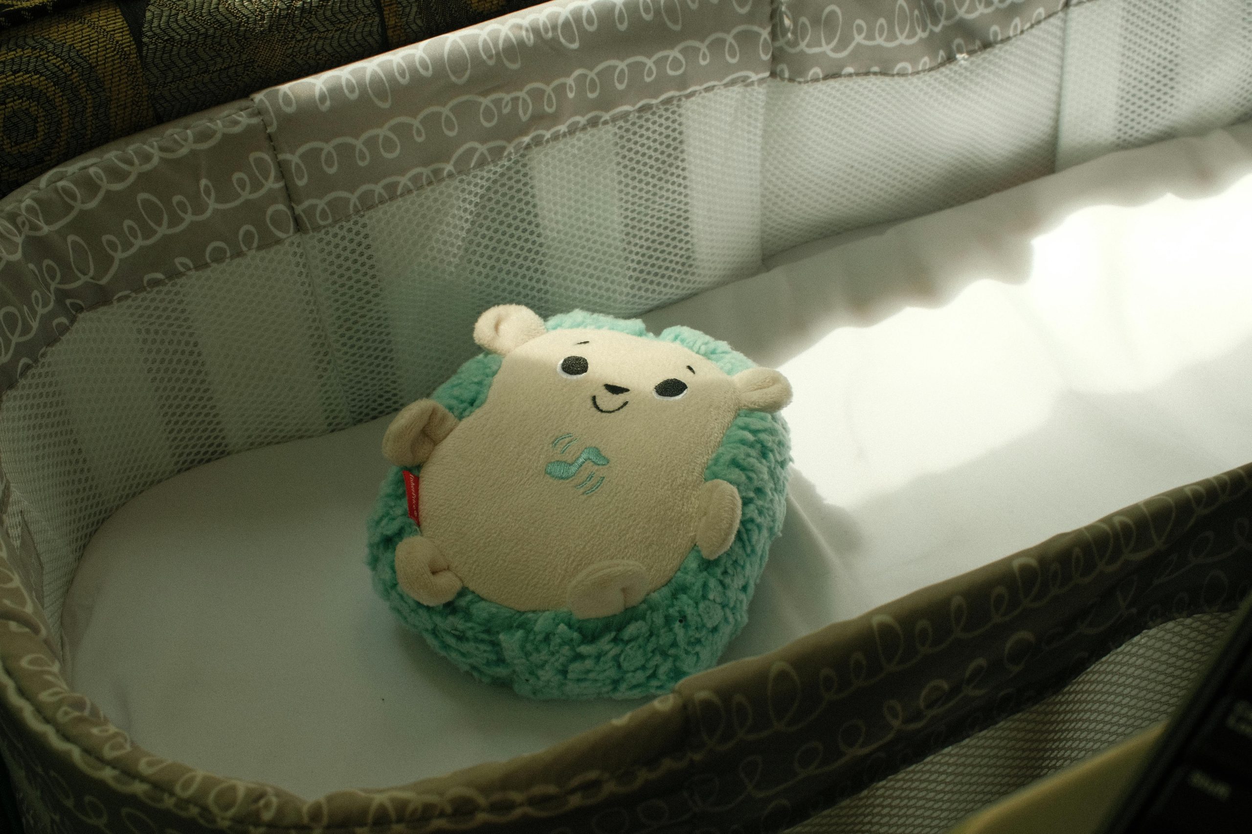 Exploring the World of Bassinets: A Cozy Nest for Your Little One!