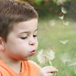 Navigating Child Support Collection: Avoiding Scams