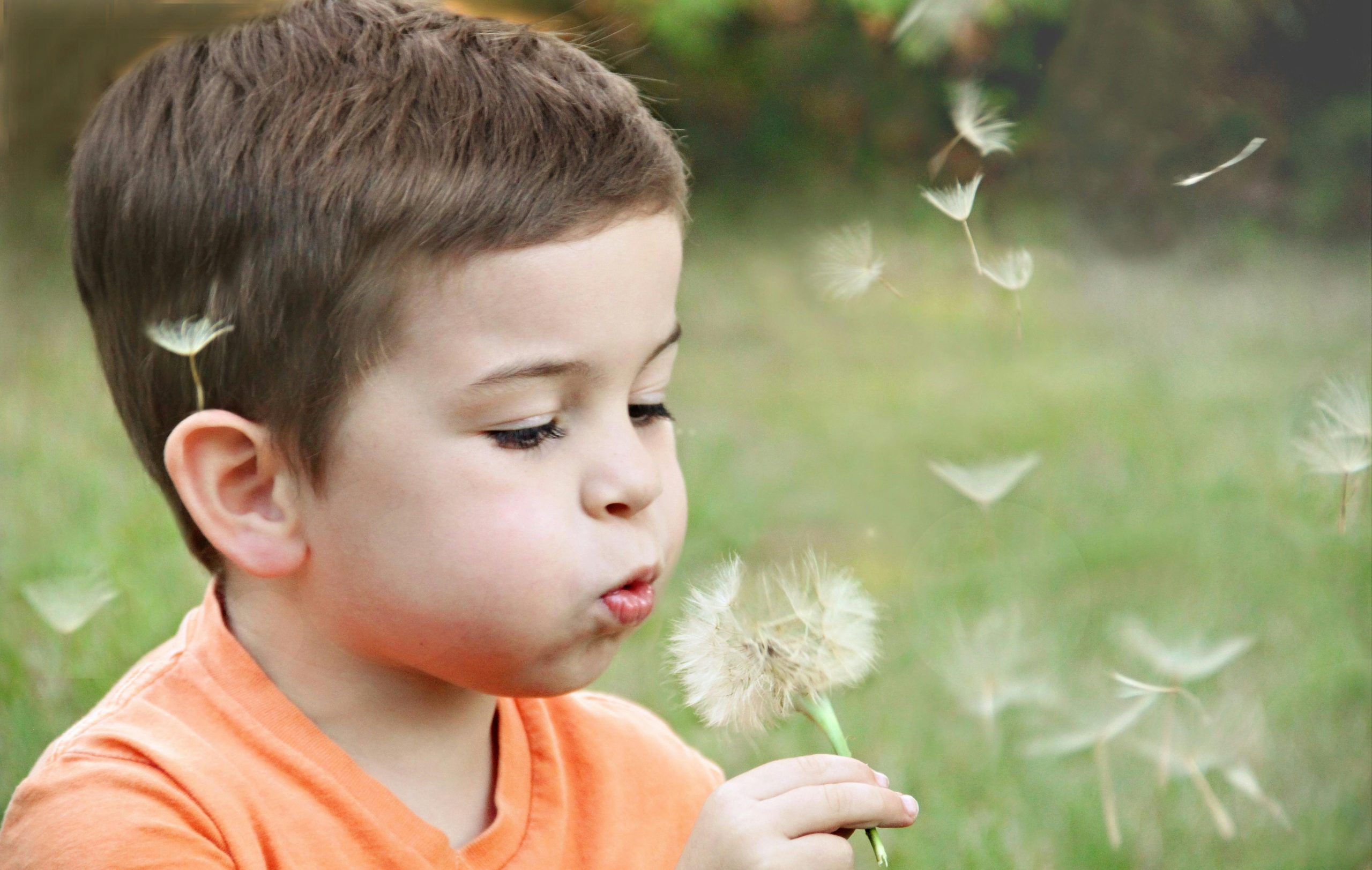 Navigating Child Support Collection: Avoiding Scams