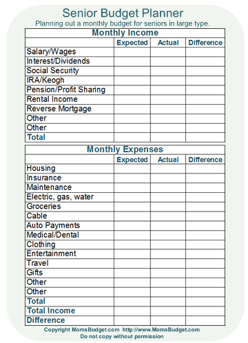 Senior Budget Planner Worksheet: Large Print Edition for Easy Financial Planning