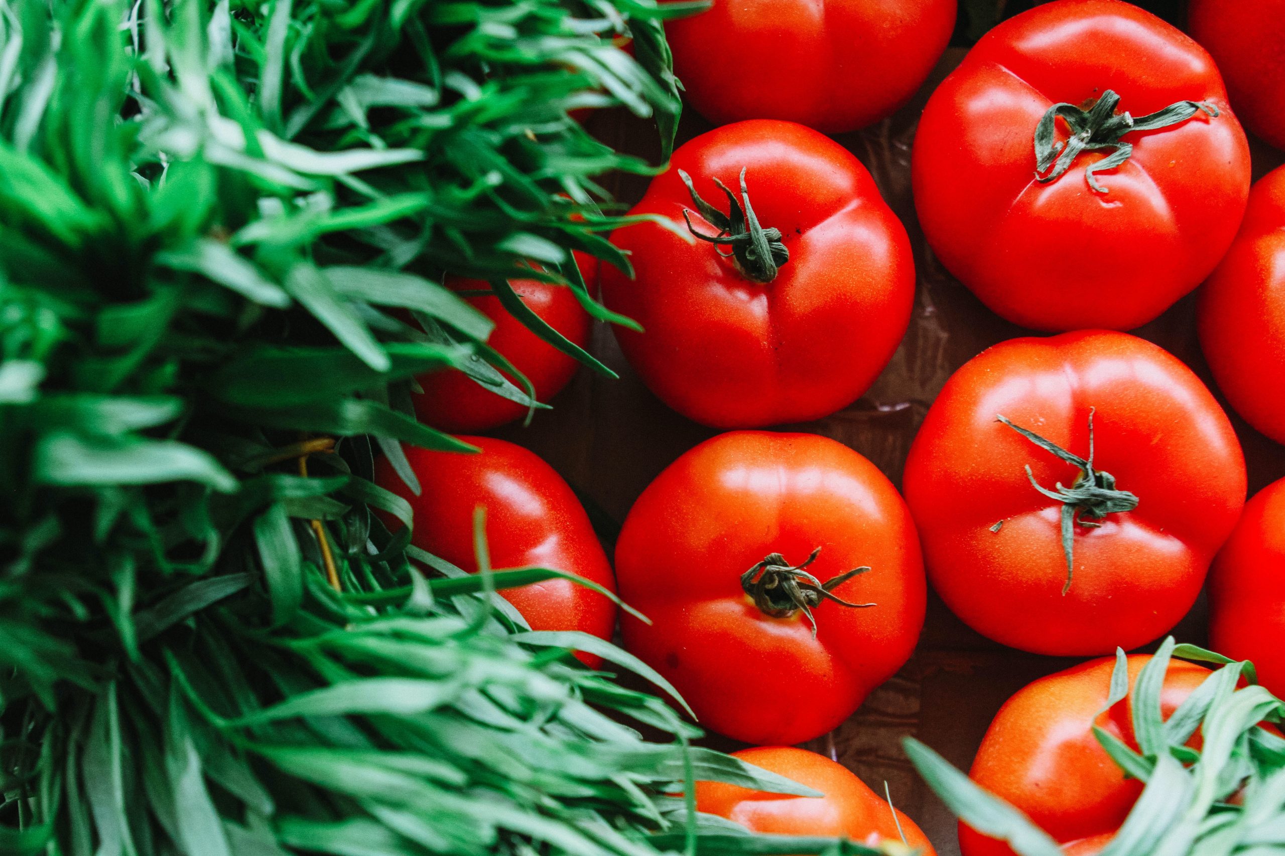 The Ultimate Guide to Freezing Tomatoes: A Garden-Fresh Delight