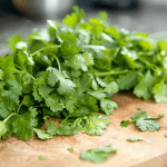 Cilantro Chill: Your Go-To Guide for Freezing Cilantro Cilantro Chill: Your Go-To Guide for Freezing Cilantro