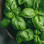 Basil Bliss: Your Guide to Freezing Fresh Basil Basil Bliss: Your Guide to Freezing Fresh Basil