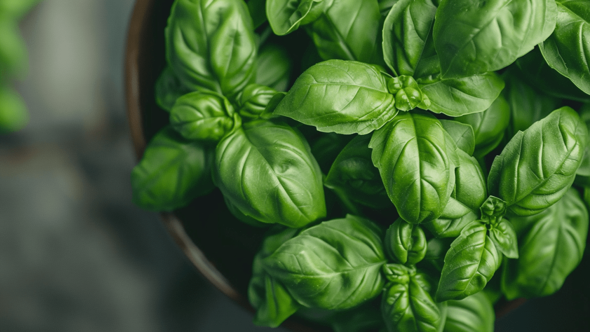 Basil Bliss: Your Guide to Freezing Fresh Basil