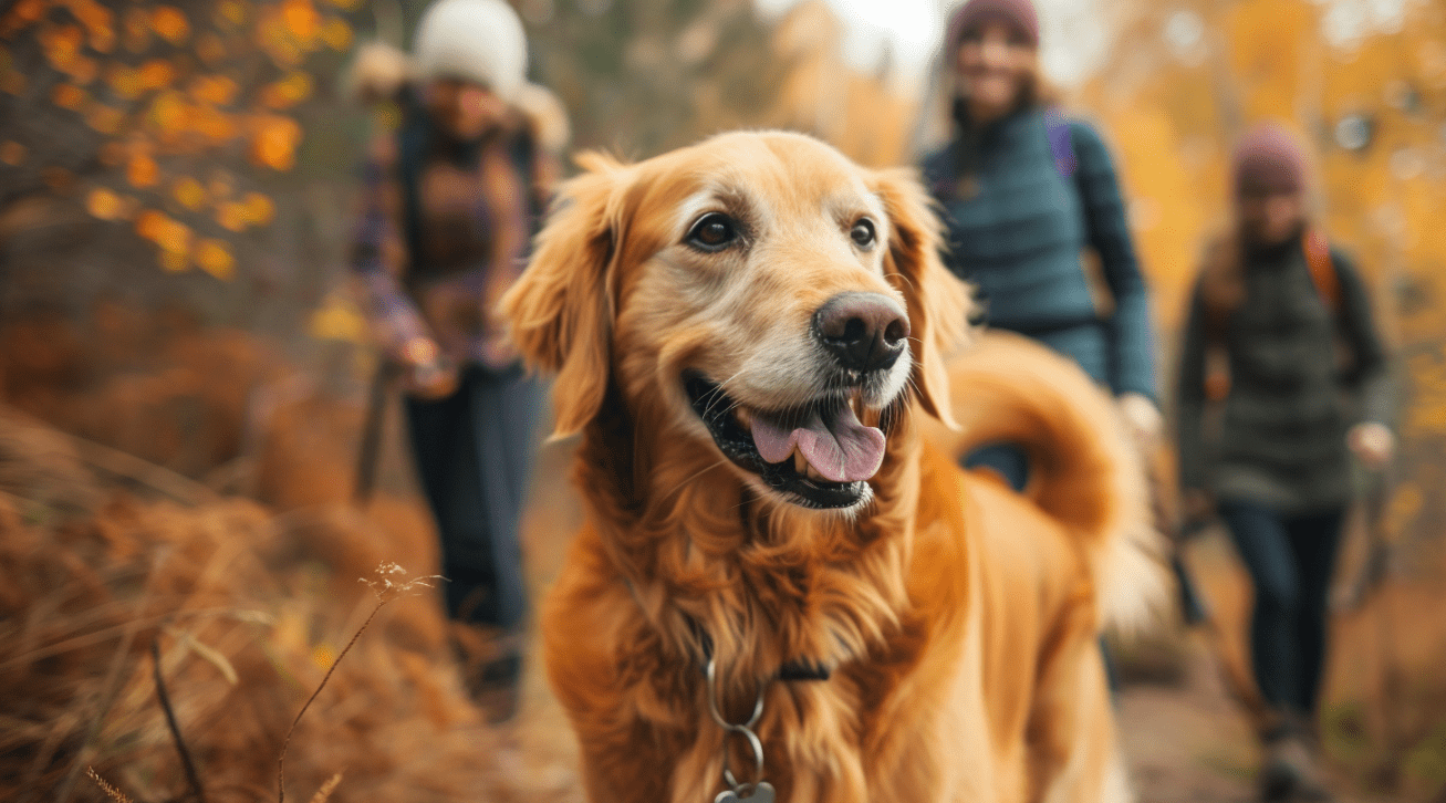 Fun for Every Season: Your Guide to Budget-Friendly Family Activities