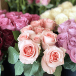 Blushing Bouquet Essential Oil Blend Recipe Blushing Bouquet Essential Oil Blend Recipe