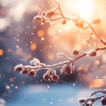 Snow-Kissed Morning Essential Oil Blend Recipe